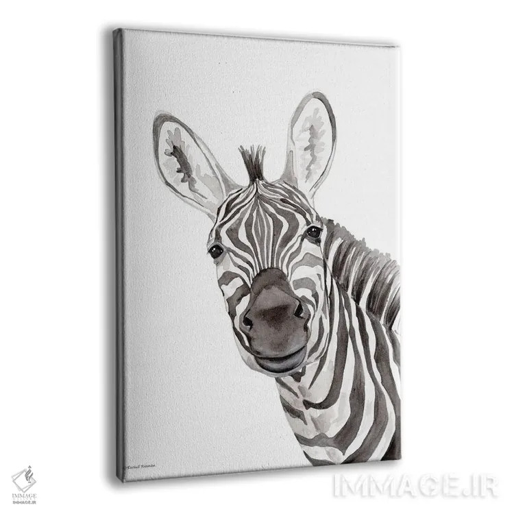 تابلو دکوراتیو گورخر سافاری در حال قایم باشک اثر ریچل نیمان - نمای پرسپکتیو محصول