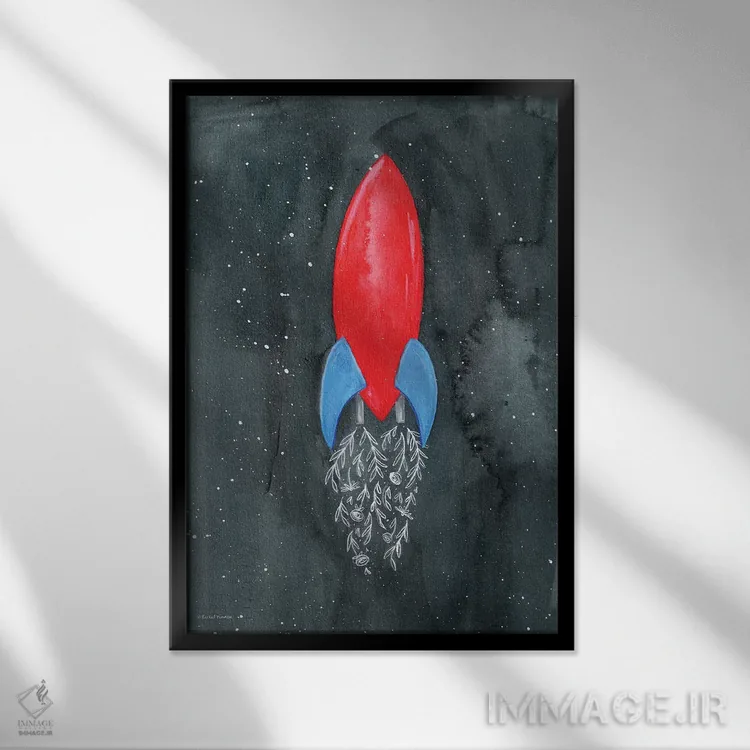تابلو دکوراتیو موشک گلی اثر ریچل نیمان - نمای قابدار مشکی