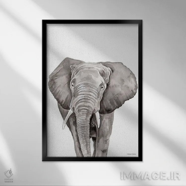 تابلو دکوراتیو فیل سافاری در حال قایم باشک اثر ریچل نیمان - نمای قابدار مشکی
