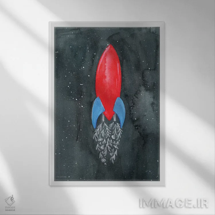 تابلو دکوراتیو موشک گلی اثر ریچل نیمان - نمای قابدار سفید