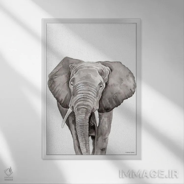 تابلو دکوراتیو فیل سافاری در حال قایم باشک اثر ریچل نیمان - نمای قابدار سفید