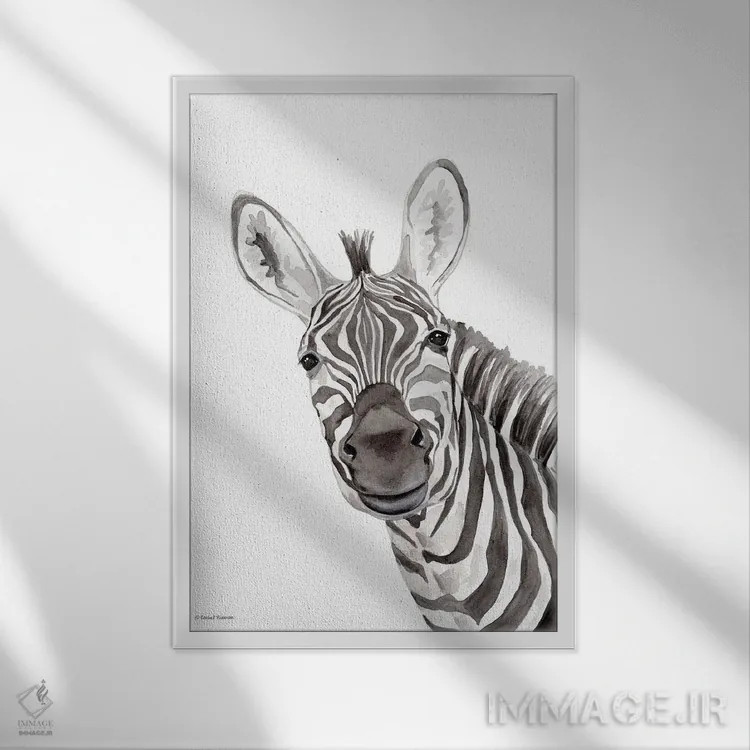 تابلو دکوراتیو گورخر سافاری در حال قایم باشک اثر ریچل نیمان - نمای قابدار سفید