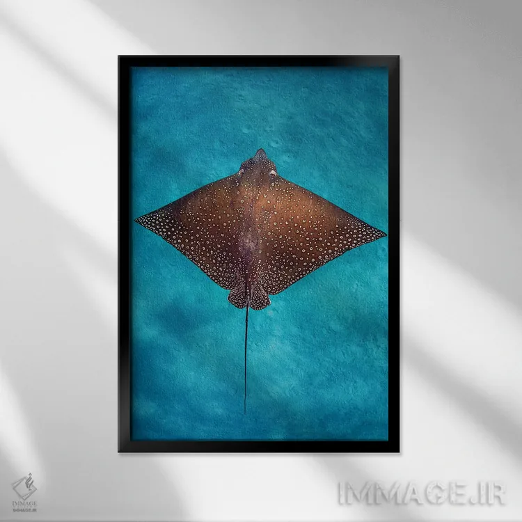 تابلو دکوراتیو سفره ماهی عقابی آبی سرآبی اثر جردن رابینز - نمای قابدار مشکی
