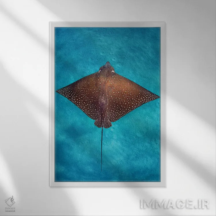 تابلو دکوراتیو سفره ماهی عقابی آبی سرآبی اثر جردن رابینز - نمای قابدار سفید