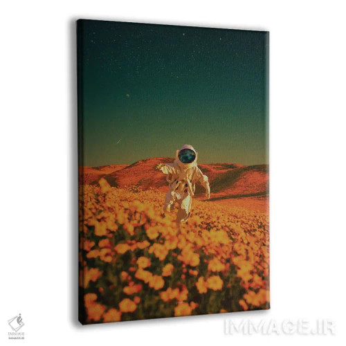 تابلو دکوراتیو Some Of Us Forever, To Seek Other Places, Other Lives, Other… اثر راب هاکمو - نمای پرسپکتیو محصول