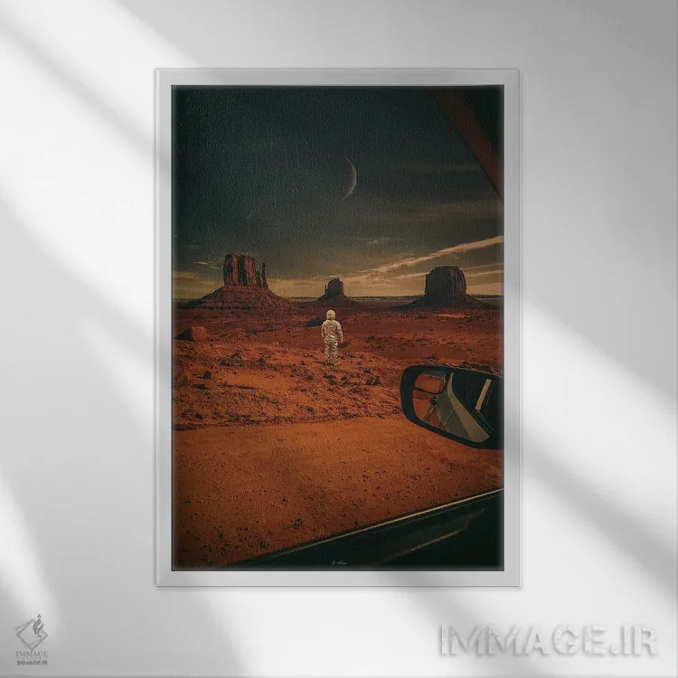 تابلو دکوراتیو در هر جا شکوفا شو اثر راب هاکمو - نمای قابدار سفید