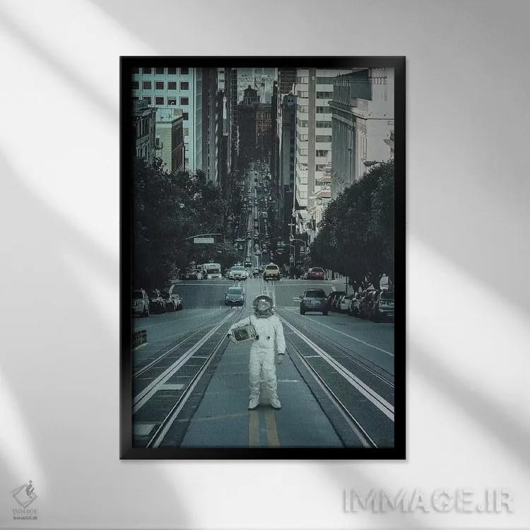 تابلو دکوراتیو زیرک خیابانی ۱ اثر راب هاکمو - نمای قابدار مشکی