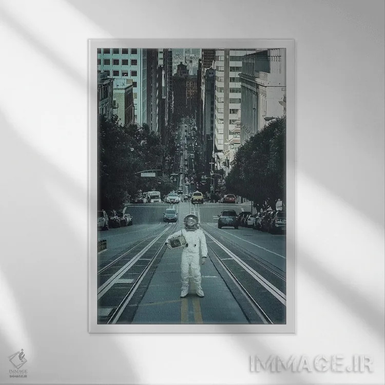 تابلو دکوراتیو زیرک خیابانی ۱ اثر راب هاکمو - نمای قابدار سفید
