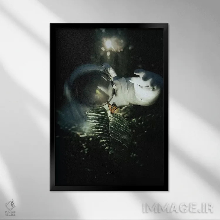 تابلو دکوراتیو زیبایی یافته شده اثر راب هاکمو - نمای قابدار مشکی