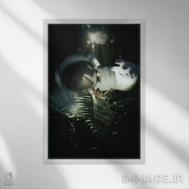تابلو دکوراتیو زیبایی یافته شده اثر راب هاکمو - نمای قابدار سفید