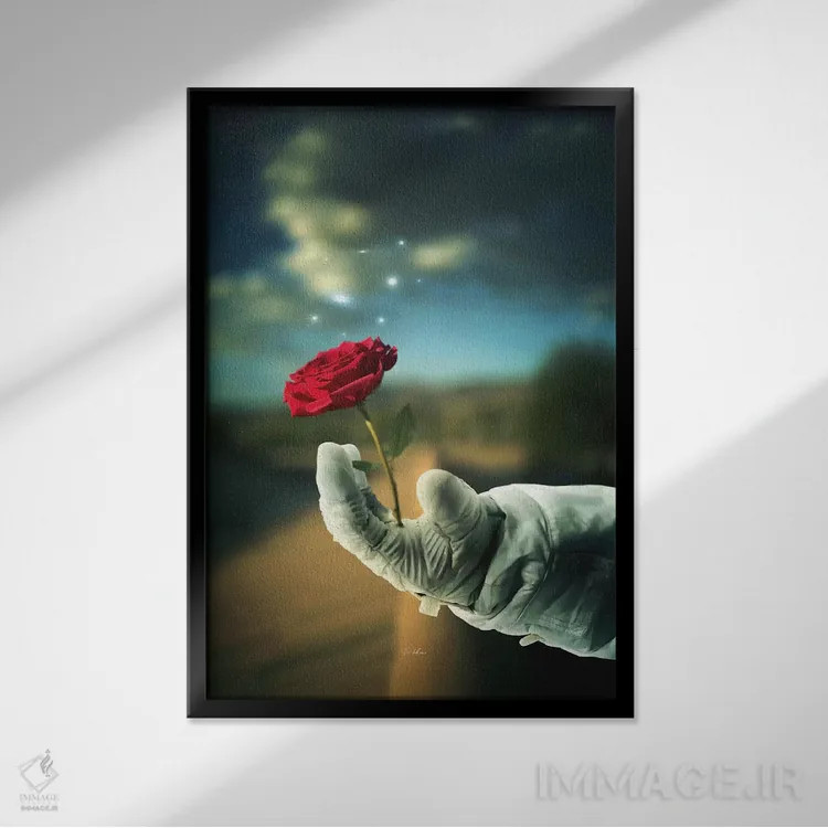 تابلو دکوراتیو خار و گل سرخ اثر راب هاکمو - نمای قابدار مشکی