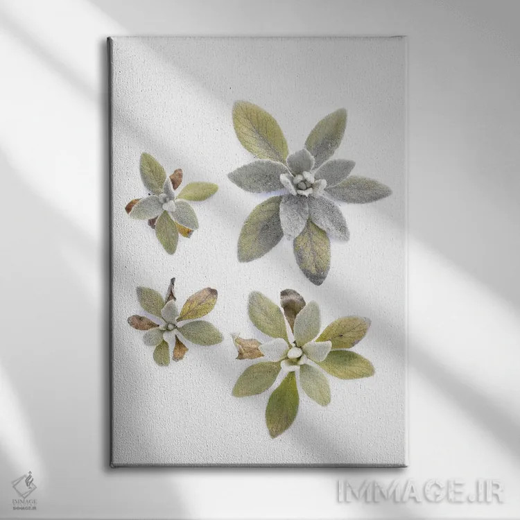 تابلو دکوراتیو گوش بره اثر بری روزنتال - نمای روبهرو روی دیوار