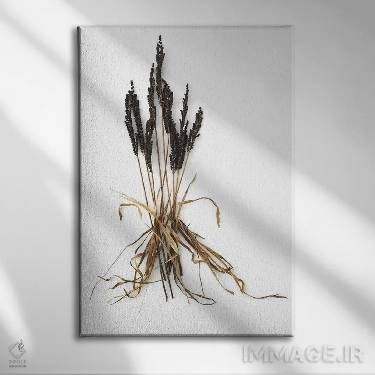 تابلو دکوراتیو سرخس و علف اثر بری روزنتال - نمای روبهرو روی دیوار