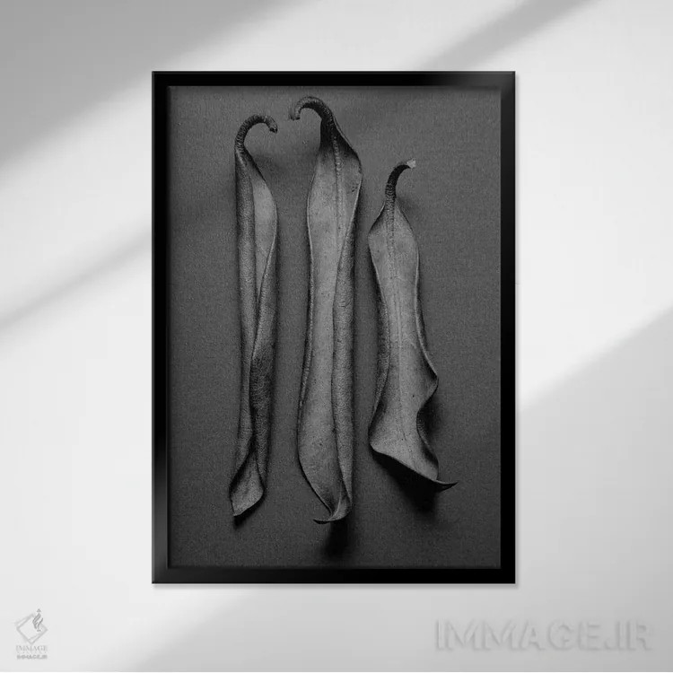 تابلو دکوراتیو برگ های کوه پیما I اثر بری روزنتال - نمای قابدار مشکی