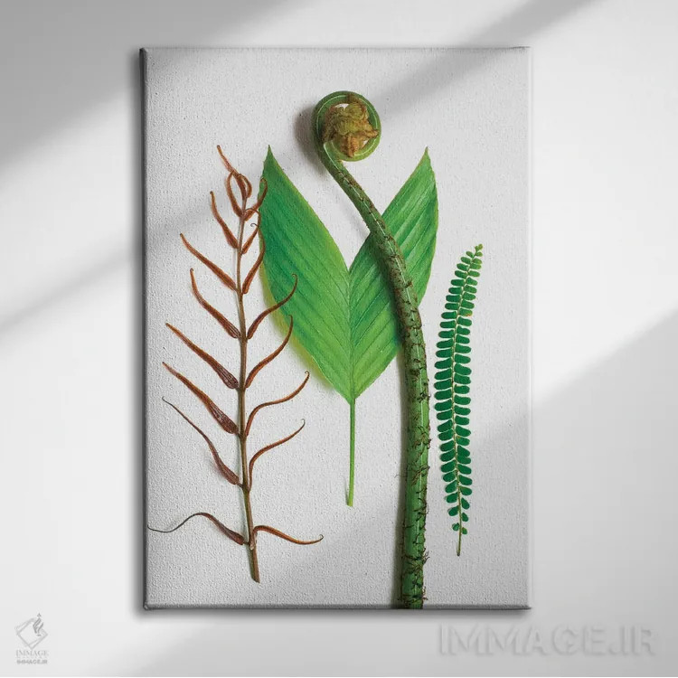 تابلو دکوراتیو سه سرخس و یک نخل اثر بری روزنتال - نمای روبهرو روی دیوار