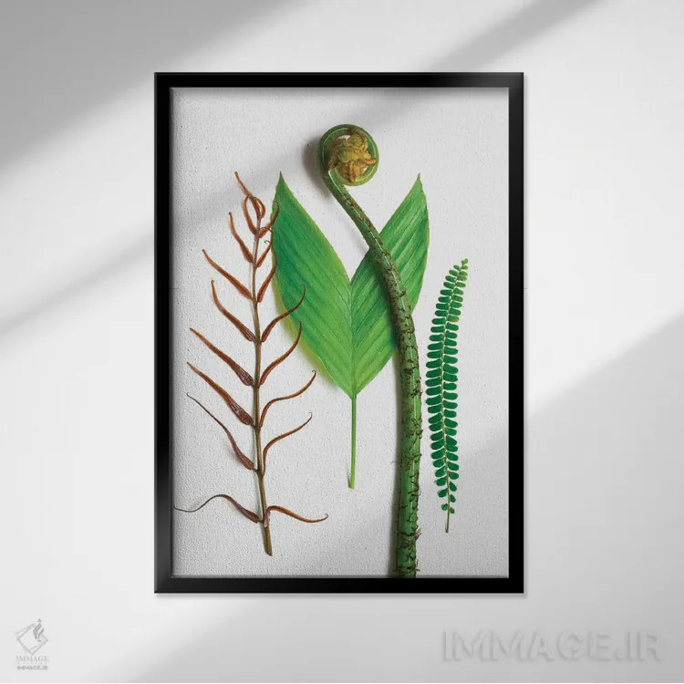 تابلو دکوراتیو سه سرخس و یک نخل اثر بری روزنتال - نمای قابدار مشکی