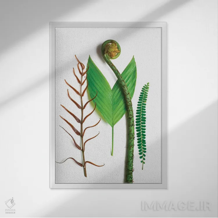 تابلو دکوراتیو سه سرخس و یک نخل اثر بری روزنتال - نمای قابدار سفید