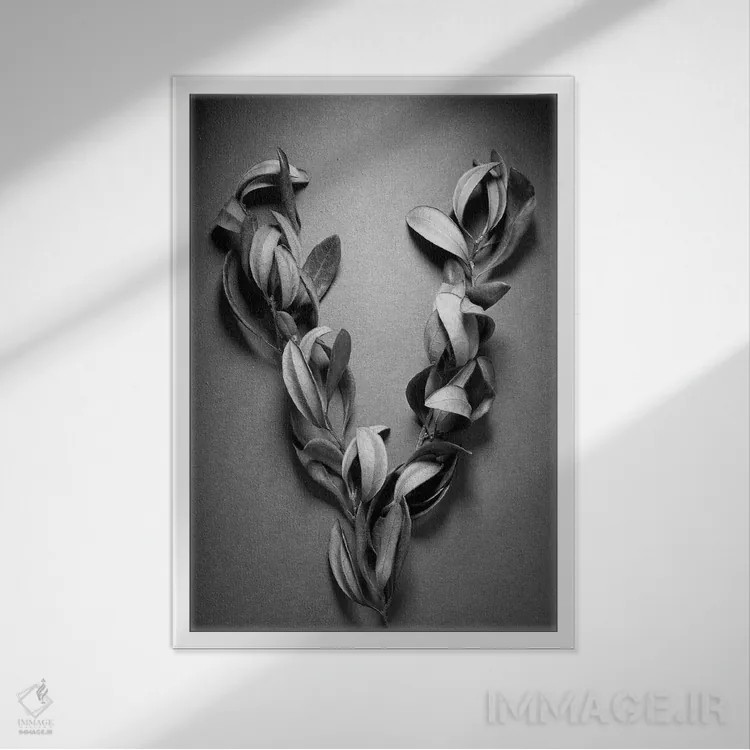 تابلو دکوراتیو پیروزی اثر بری روزنتال - نمای قابدار سفید