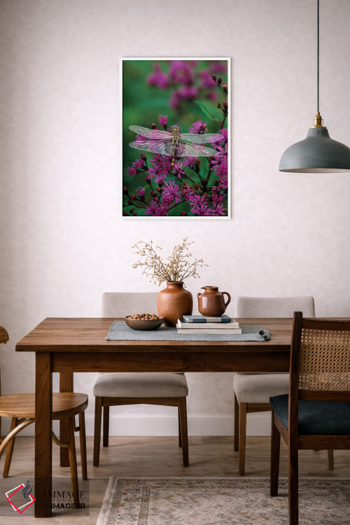 تابلو دکوراتیو سنجاقک تنها بر گیاه جوی-پای اثر نانسی روتنبرگ - D6W