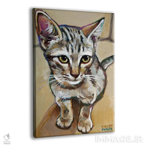 تابلو دکوراتیو لیف گربه کوچک اثر رابرت فلپس - نمای پرسپکتیو محصول