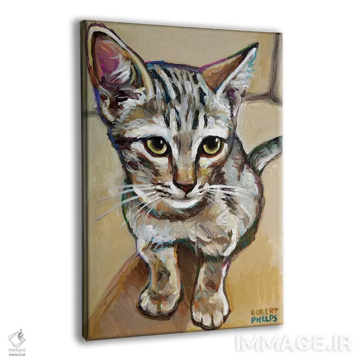 تابلو دکوراتیو لیف گربه کوچک اثر رابرت فلپس - نمای پرسپکتیو محصول