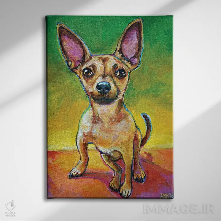 تابلو دکوراتیو اولی چیهواهوا اثر رابرت فلپس - نمای روبهرو روی دیوار