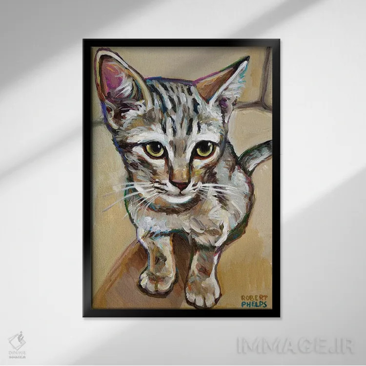 تابلو دکوراتیو لیف گربه کوچک اثر رابرت فلپس - نمای قابدار مشکی