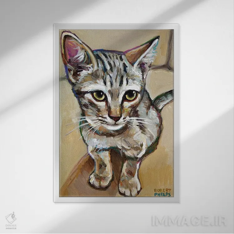 تابلو دکوراتیو لیف گربه کوچک اثر رابرت فلپس - نمای قابدار سفید