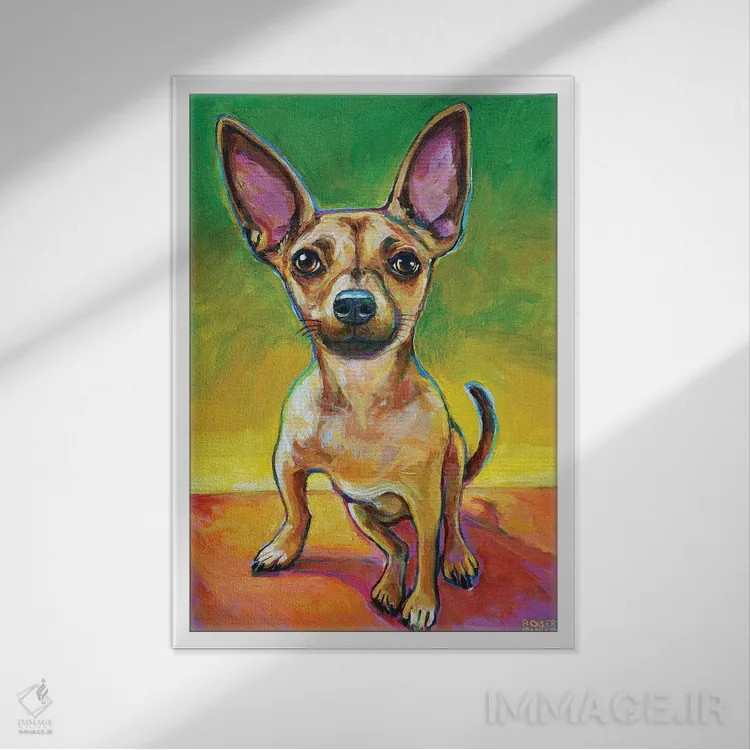 تابلو دکوراتیو اولی چیهواهوا اثر رابرت فلپس - نمای قابدار سفید