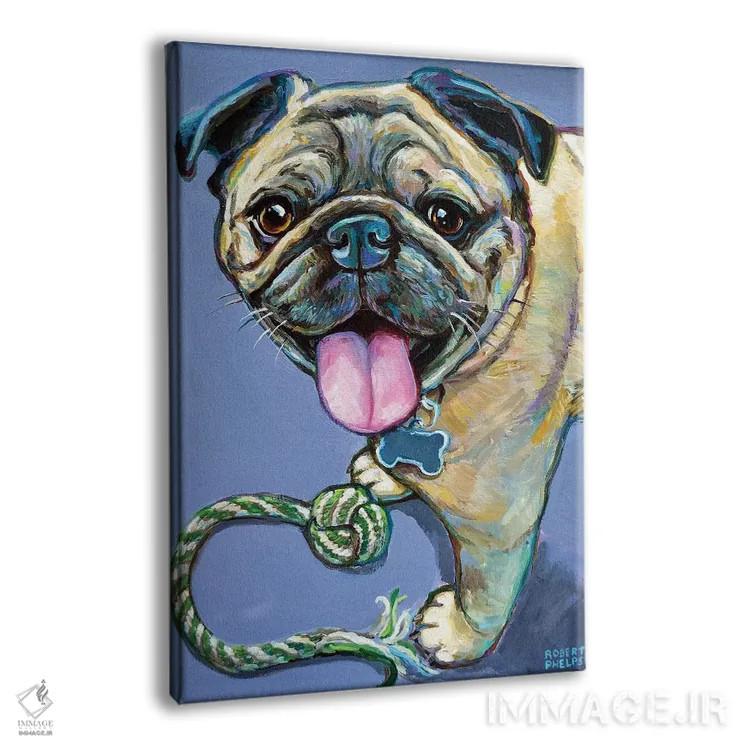 تابلو دکوراتیو پاگ خوشحال با اسباب بازی اثر رابرت فلپس - نمای پرسپکتیو محصول