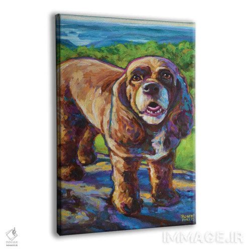 تابلو دکوراتیو اسپانیل کوهستانی اثر رابرت فلپس - نمای پرسپکتیو محصول