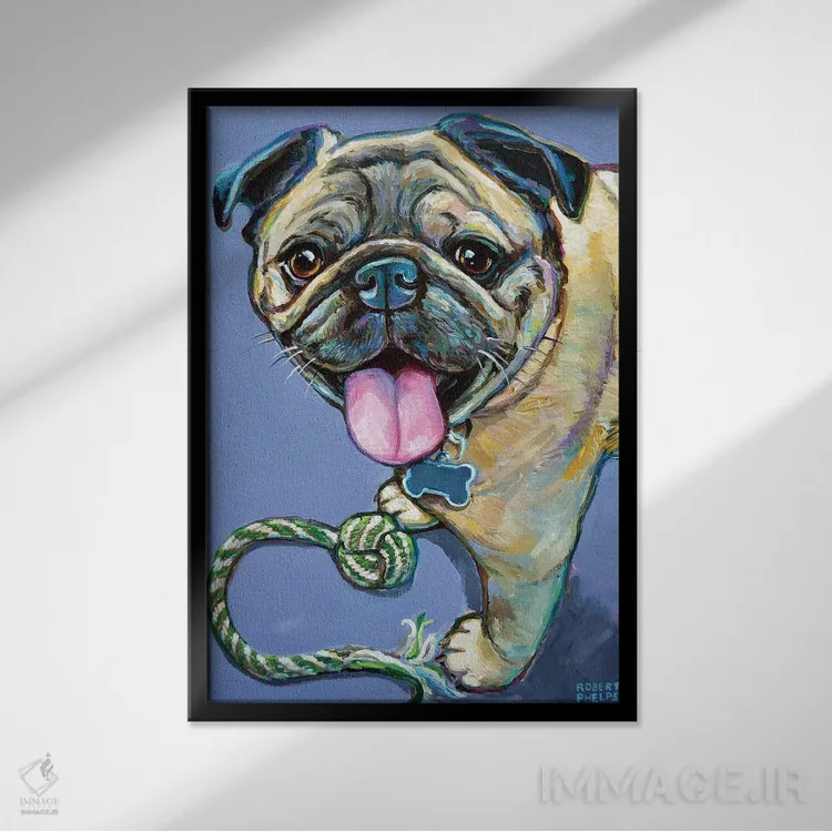 تابلو دکوراتیو پاگ خوشحال با اسباب بازی اثر رابرت فلپس - نمای قابدار مشکی