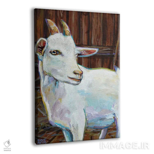 تابلو دکوراتیو بز سفید در طویله اثر رابرت فلپس - نمای پرسپکتیو محصول