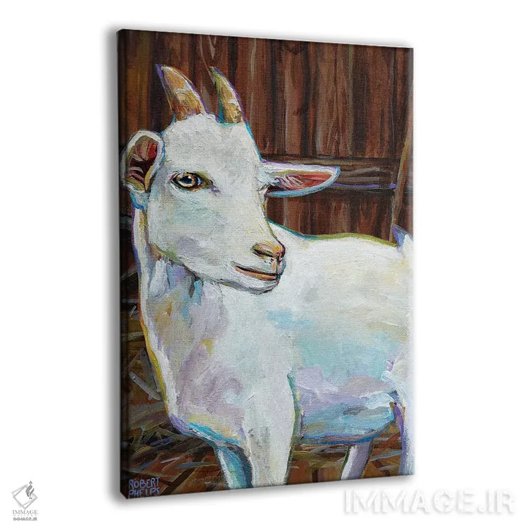 تابلو دکوراتیو بز سفید در طویله اثر رابرت فلپس - نمای پرسپکتیو محصول