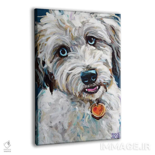 تابلو دکوراتیو آسی دودل با چشم های آبی اثر رابرت فلپس - نمای پرسپکتیو محصول