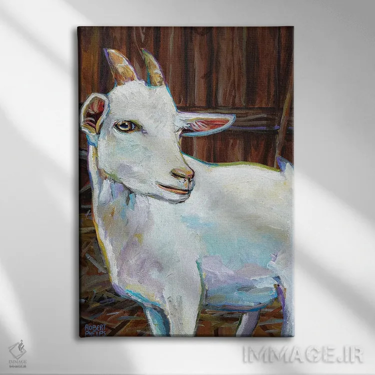 تابلو دکوراتیو بز سفید در طویله اثر رابرت فلپس - نمای روبهرو روی دیوار