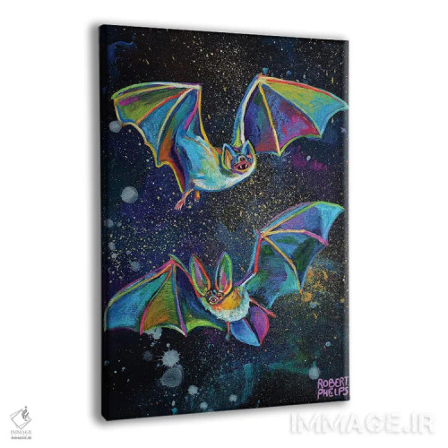 تابلو دکوراتیو خفاش ها و آسمان شب اثر رابرت فلپس - نمای پرسپکتیو محصول