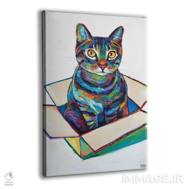 تابلو دکوراتیو گربه در جعبه اثر رابرت فلپس - نمای پرسپکتیو محصول