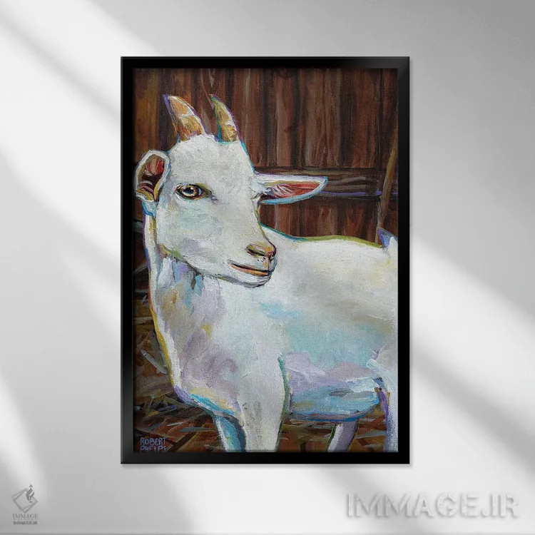 تابلو دکوراتیو بز سفید در طویله اثر رابرت فلپس - نمای قابدار مشکی