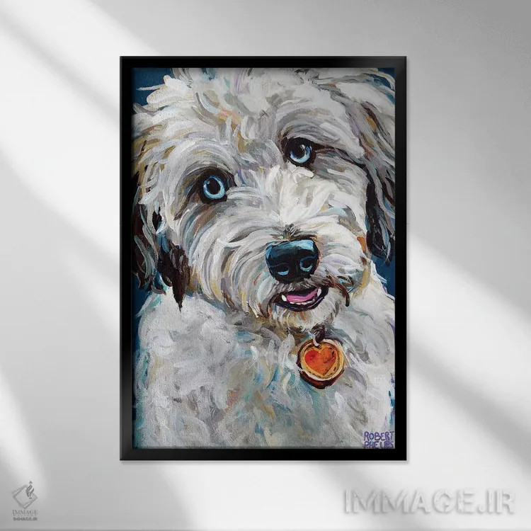 تابلو دکوراتیو آسی دودل با چشم های آبی اثر رابرت فلپس - نمای قابدار مشکی