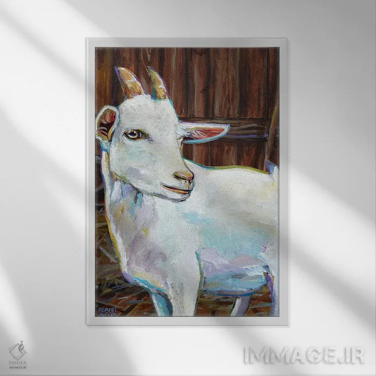 تابلو دکوراتیو بز سفید در طویله اثر رابرت فلپس - نمای قابدار سفید