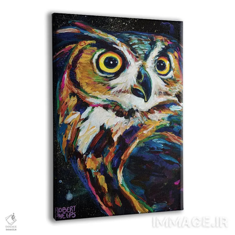 تابلو دکوراتیو جغد شب اثر رابرت فلپس - نمای پرسپکتیو محصول