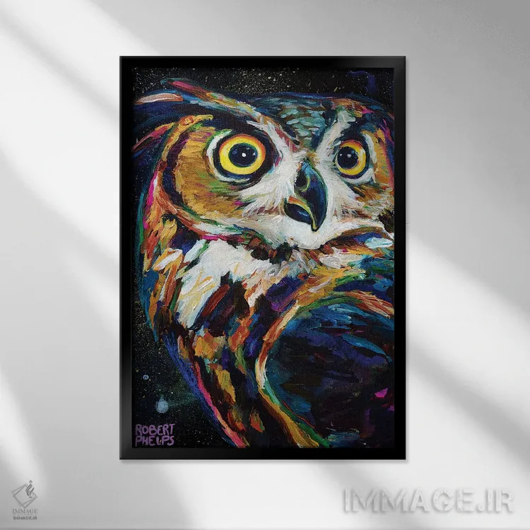 تابلو دکوراتیو جغد شب اثر رابرت فلپس - نمای قابدار مشکی