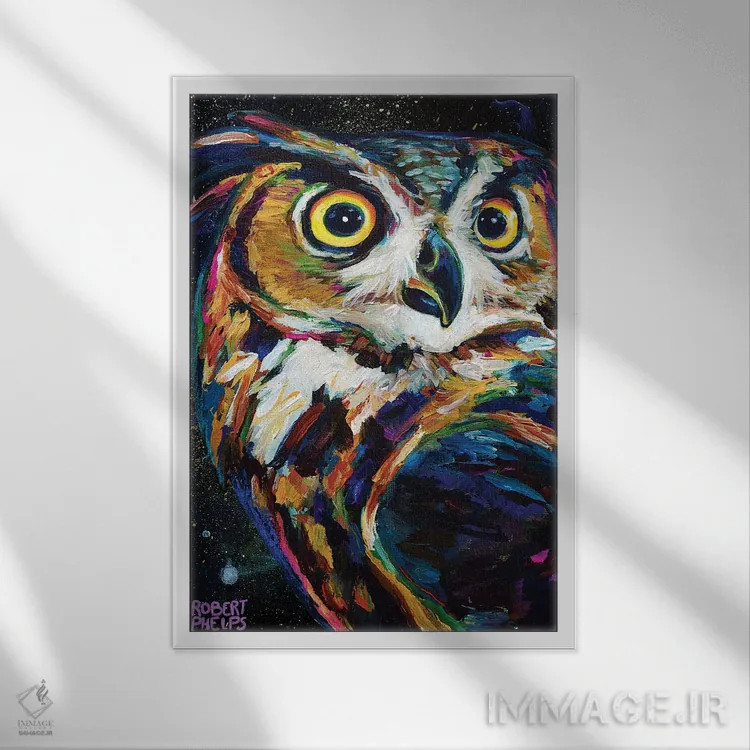 تابلو دکوراتیو جغد شب اثر رابرت فلپس - نمای قابدار سفید