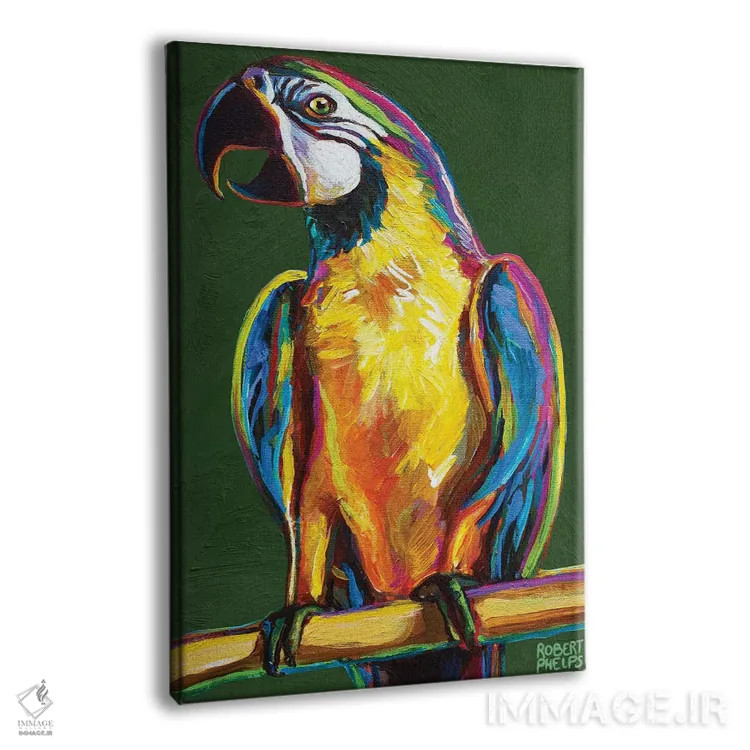 تابلو دکوراتیو طوطی روی سبز اثر رابرت فلپس - نمای پرسپکتیو محصول