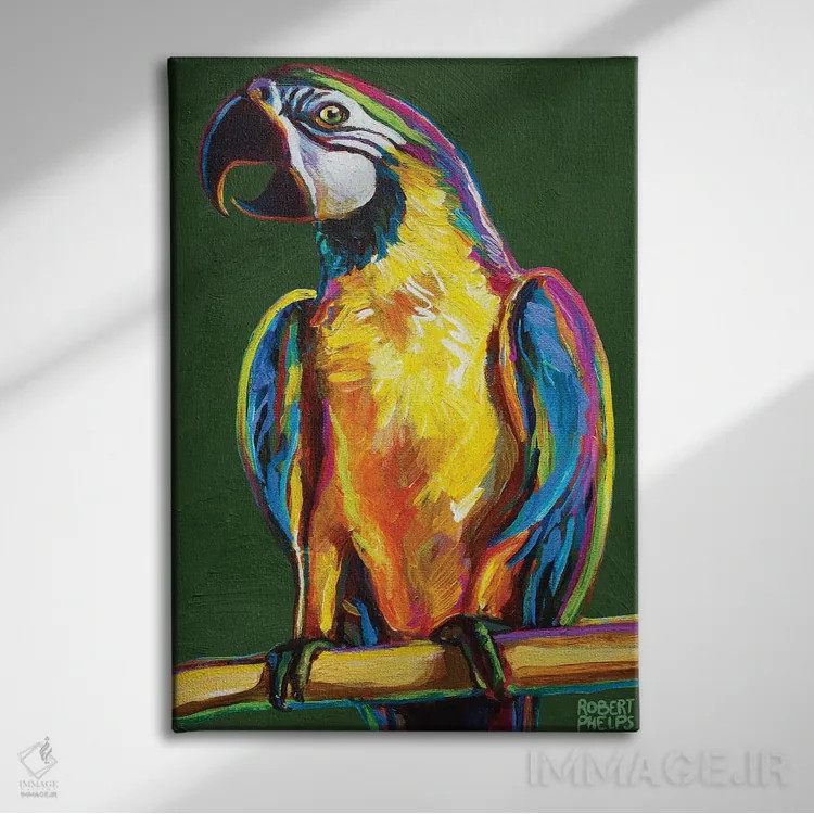 تابلو دکوراتیو طوطی روی سبز اثر رابرت فلپس - نمای روبهرو روی دیوار