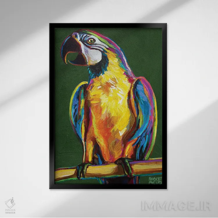 تابلو دکوراتیو طوطی روی سبز اثر رابرت فلپس - نمای قابدار مشکی