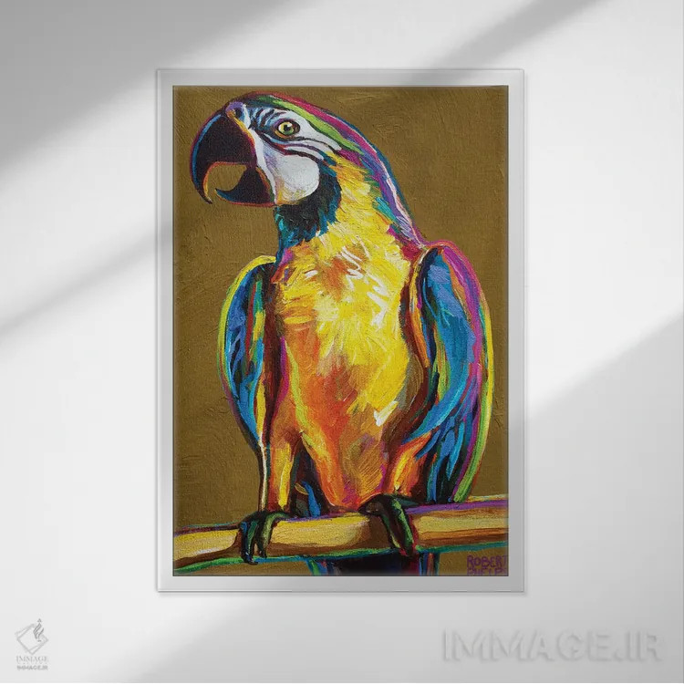 تابلو دکوراتیو طوطی روی طلایی اثر رابرت فلپس - نمای قابدار سفید