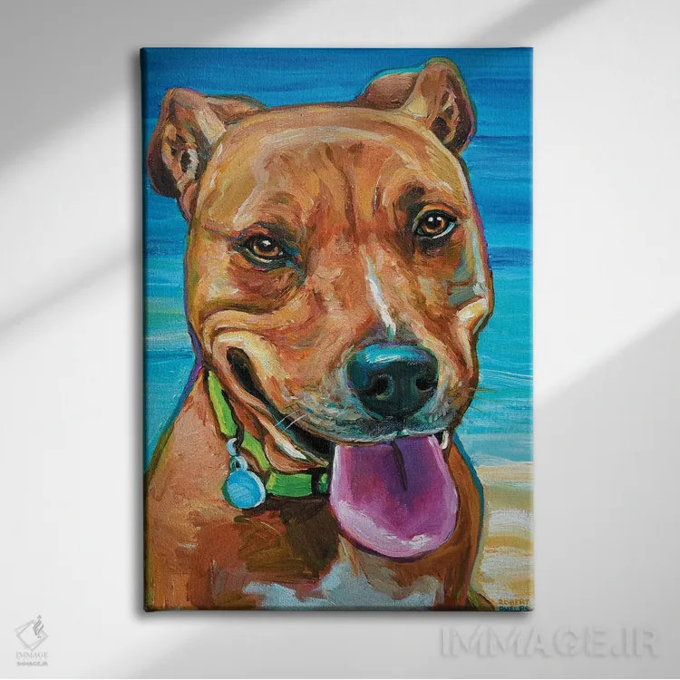 تابلو دکوراتیو سگ ساحلی اثر رابرت فلپس - نمای روبهرو روی دیوار