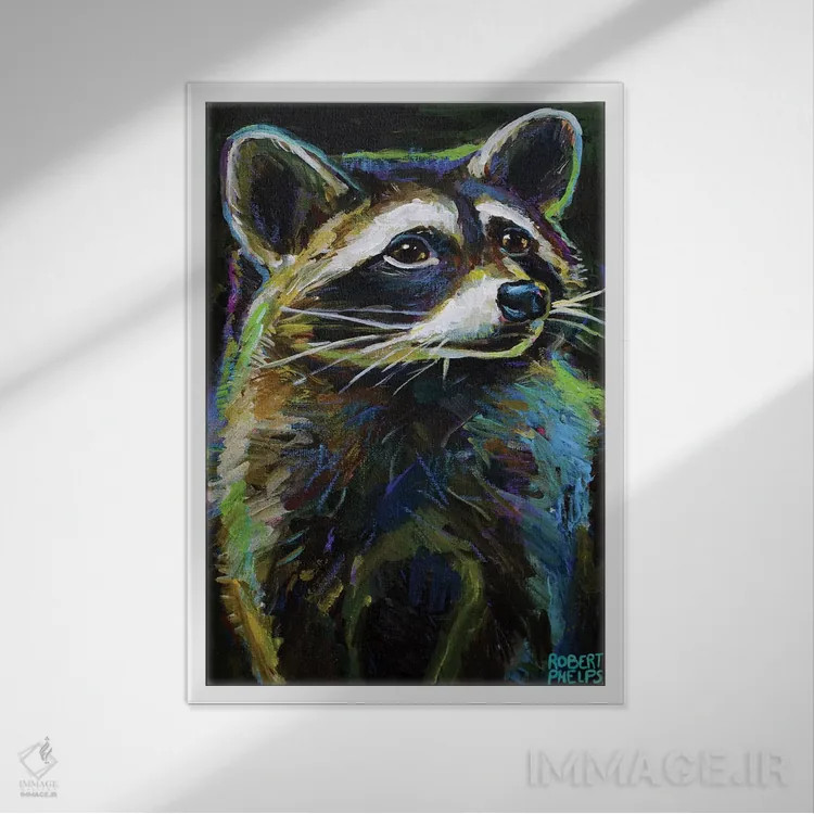 تابلو دکوراتیو راکون اثر رابرت فلپس - نمای قابدار سفید